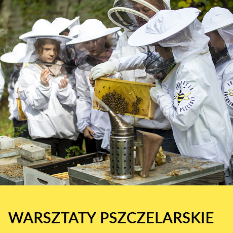 Warsztaty pszczelarskie / oferta dla przedszkoli i szkół