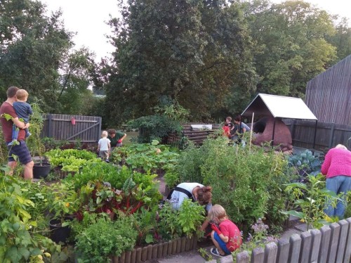 Na zdjęciu grupa wolontariuszy pracująca we Wspólnym Ogrodzie - jednym z pierwszych ogrodów społecznościowych w Warszawie. Na pierwszym planie widać płot, zza którego widać rosnące rośliny - warzywa, owoce, zioła. W tle park, piec chlebowy i budynek gospodarczy SDK.