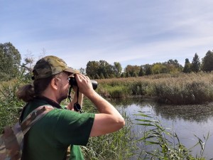 Na zdjęciu Sławomir Kasjaniuk obserwujący ptaki przez lornetkę. W tle szuwary i rzeczka Dolinki Służewieckiej.