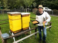 baj pszczolymiodne