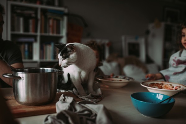 Na zdjęciu widać stół zastawiony miskami i talerzami, rodzina w trakcie posiłku. Na środku blatu siedzi czarno-biały kot i zagląda do garnka. Fot. Agnieszka Mocarska