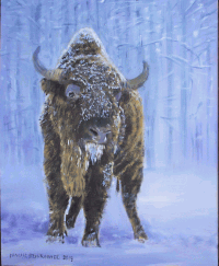 Zdjęcie obrazu artysty. Na obrazie namalowany żubr w zimowej scenerii.