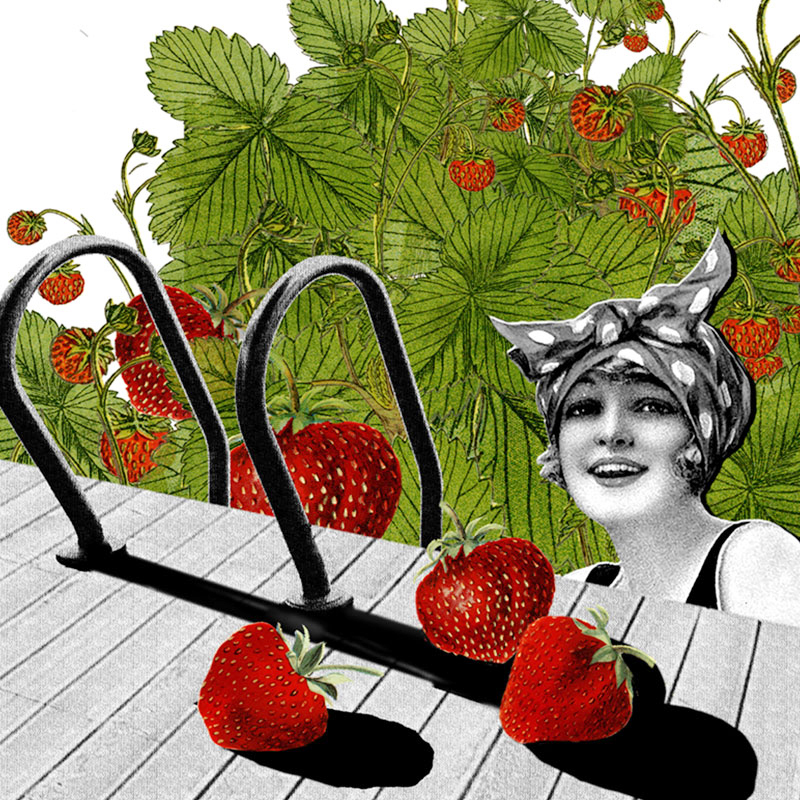 Ilustracja w stylu retro: kobieta w basenie penłnym owocujących krzaczków truskawek. Il. Ela Biryło