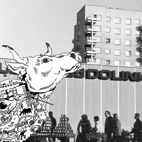 Grafika: Logo projektu krowa z ciałem zbudowanym z symboli Mokotowa na tle zdjęcia fabryki. Zdjęcie: Październik 1968, Warszawa, Polska. Zakłady Mięsne 